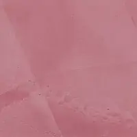 EV 928