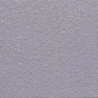 E IP 4171