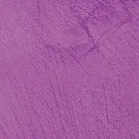 O1AL
