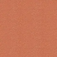 N2NO