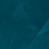 S1NS