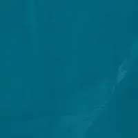 S2NS