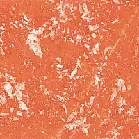 TUSC 223 1
