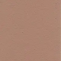 LS 51