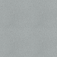301E