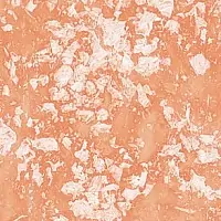 TUSC 223 2