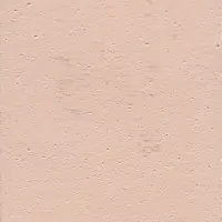 LS 53