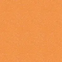 N2NY