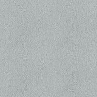 302E