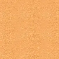 N3NY