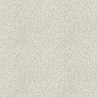 077Y