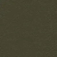 OR1NA