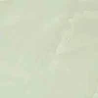 S3NL