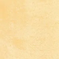 L4NY