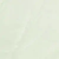 S4NL