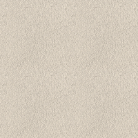 029E