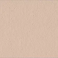 LS 63