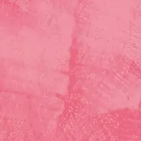 O3AR