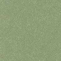 W2NL