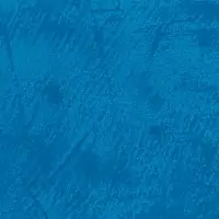 L1ZA