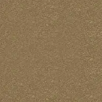 OR2NB