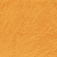ZC