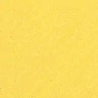 W2SG