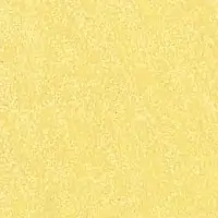W3SG