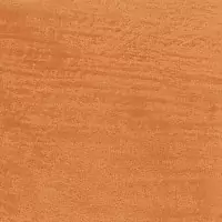 ZE