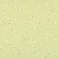 LS 81