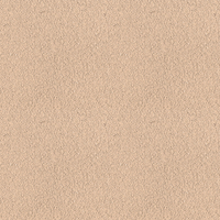 081E