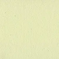 LS 82