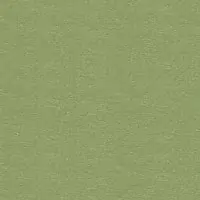 OR1NL
