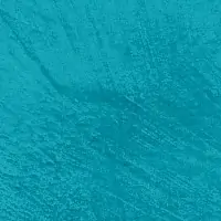 O1AZ