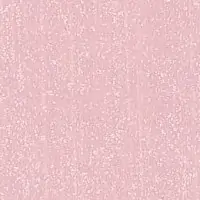W5NR