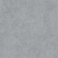 W2F 043