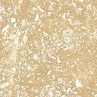 TUSC 4033 1