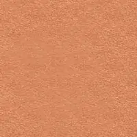 OR2NR