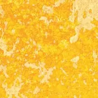 C2ZC