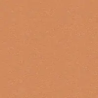 OR1NO