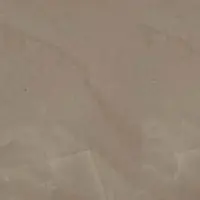S2GD