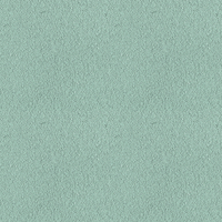 098G