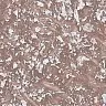 Декоративный материал Tuscania Antica_37