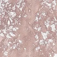 TUSC 4183 2