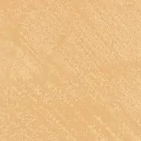 I1GG