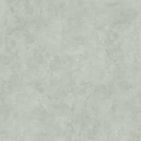 W2F 051