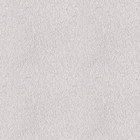 081R