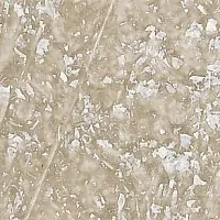 TUSC 4245 1