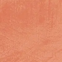 I2NO