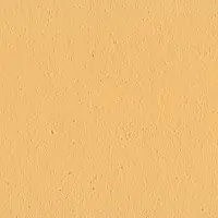 LS 121
